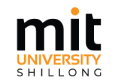 MIT University Logo